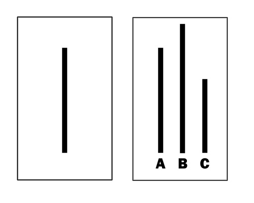 conformity experiment