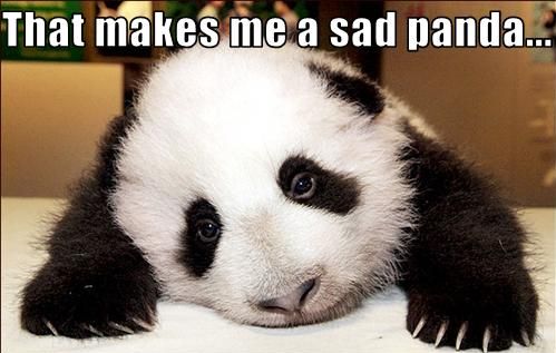 sadpanda.jpg