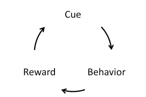 habit loop